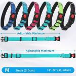 Reflective Nylon Dog Leash and Collar Set