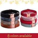 Cute Velvet Dog Collar and Leash Set