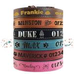 Custom Teal Leather Dog Collar with Name Tag