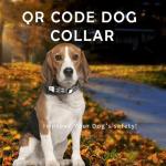 Reflective Dog Collar with AirTag Holder & QR Code