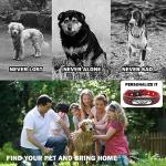 Custom Engraved Leather Dog Collar with Nameplate