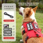 Escape Proof Soft Padded Dog Harness for Small Dogs