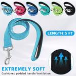 Reflective Nylon Dog Leash and Collar Set