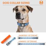 Personalized Reflective Dog Collar with QR Code