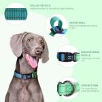 Personalized Adjustable Dog Collar in Bluegreen