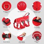 Escape Proof Soft Padded Dog Harness for Small Dogs