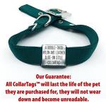 Deep Engraved Stainless Steel Dog Tag for Thick Collars