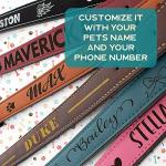 Custom Teal Leather Dog Collar with Name Tag