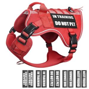 Service Dog in Training Mesh Harness with Patches