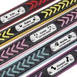 Custom Engraved Leather Dog Collar with Nameplate