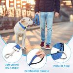 Reflective Nylon Dog Leash and Collar Set
