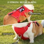 Escape Proof Soft Padded Dog Harness for Small Dogs