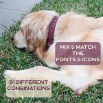 Custom Teal Leather Dog Collar with Name Tag