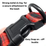 BOLDPET® Adjustable Plaid Dog Collar and Leash Set
