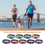 Silkfly Adjustable Dog Collar and Leash Set