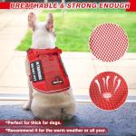 Service Dog in Training Mesh Harness with Patches