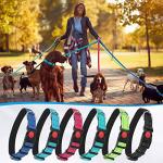 Reflective Nylon Dog Leash and Collar Set