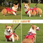 Escape Proof Soft Padded Dog Harness for Small Dogs