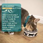 Custom Teal Leather Dog Collar with Name Tag