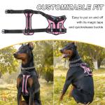 Personalized No-Pull Dog Harness with Custom Patches