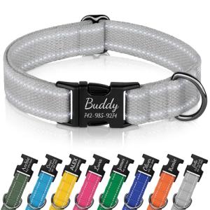 Custom Reflective Dog Collar with Engraved Buckle