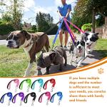 Silkfly Adjustable Dog Collar and Leash Set