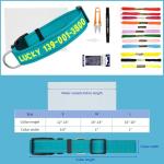 Personalized Reflective Dog Collar with Custom Name