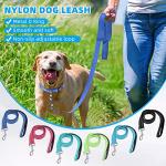 Reflective Nylon Dog Leash and Collar Set