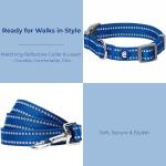 Reflective Dog Collar and Leash Set - Navy