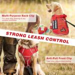 Service Dog in Training Mesh Harness with Patches