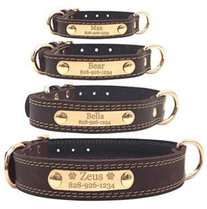 Custom Engraved Leather Dog Collar with Name Plate