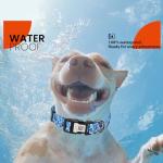 Personalized Reflective Dog Collar with QR Code