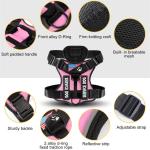 Personalized No-Pull Dog Harness with Custom Patches