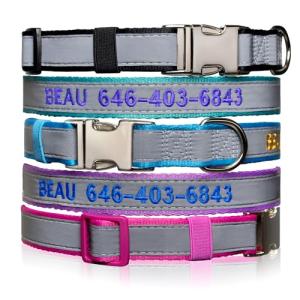 Personalized Reflective Dog Collar with Name & Phone