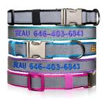 Personalized Reflective Dog Collar with Name & Phone
