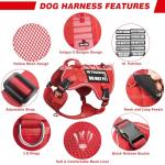 Service Dog in Training Mesh Harness with Patches