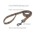 Leopard Pattern Dog Collar and Leash Set