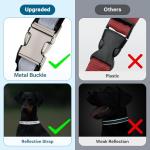 Personalized Reflective Dog Collar with Name & Phone