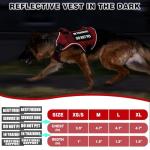 Service Dog in Training Mesh Harness with Patches