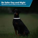 Personalized Reflective Dog Collar with Name & Phone