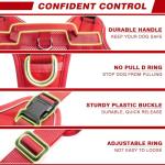 Service Dog in Training Mesh Harness with Patches