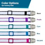 Personalized Reflective Dog Collar with Name & Phone
