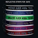 Custom Embroidered Dog Collar with Name & Number