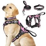 Reflective No-Pull Dog Harness, Collar, and Leash Set