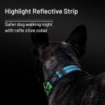 Personalized Adjustable Dog Collar in Bluegreen