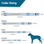 Personalized Reflective Dog Collar with Name & Phone