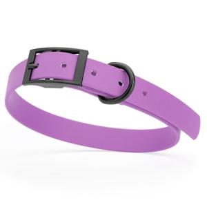 Waterproof Biothane Dog Collar in Amethyst Purple