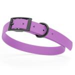 Waterproof Biothane Dog Collar in Amethyst Purple
