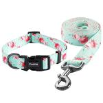 Floral Dog Collar and Leash Set for Small Pets