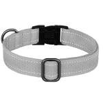 Custom Reflective Dog Collar with Engraved Buckle